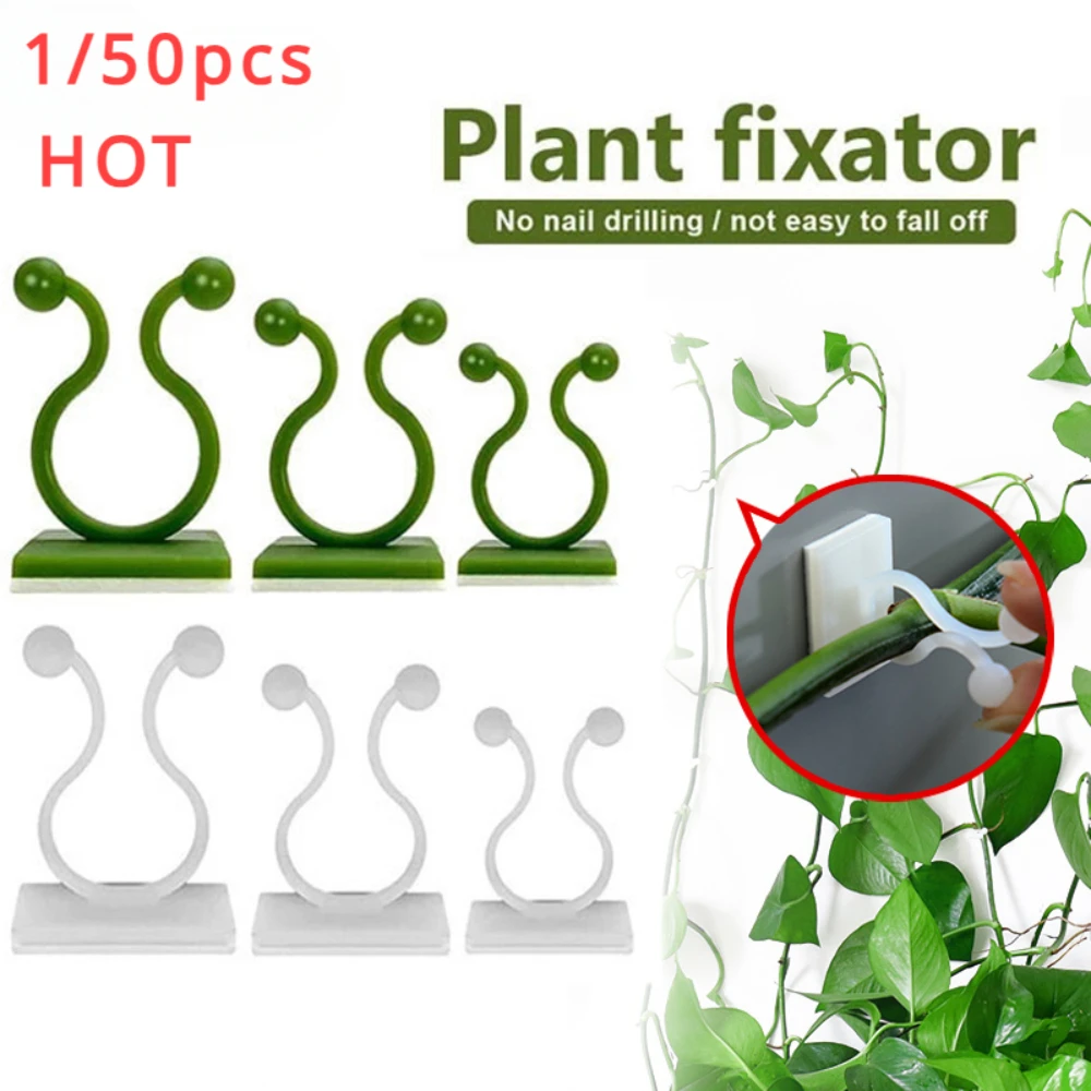 Wall Anchor Plastic - 1/30/50 Stück für Gartenzubehör, Pflanzengartentöpfe und