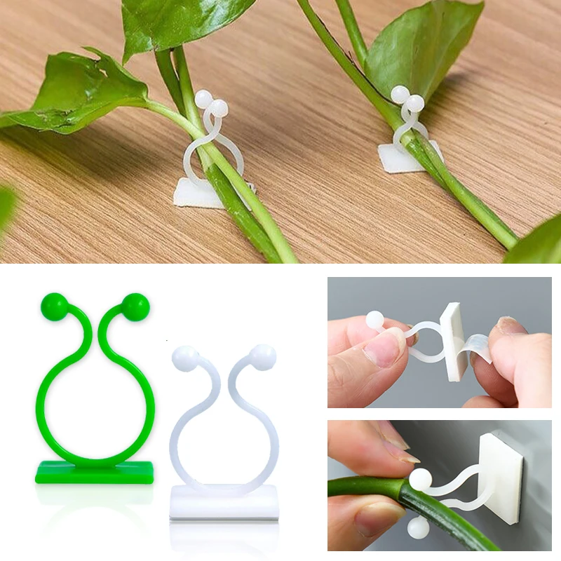 Wall Anchor Plastic - Pflanze Klettern Wand Selbstklebende Feste Schnalle