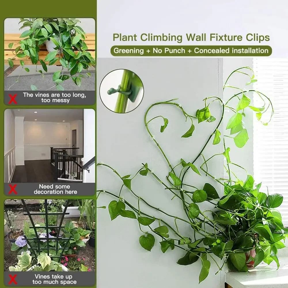 1/30/50 Stück für Gartenzubehö – Wall Anchor Plastic Bewertung und Preis