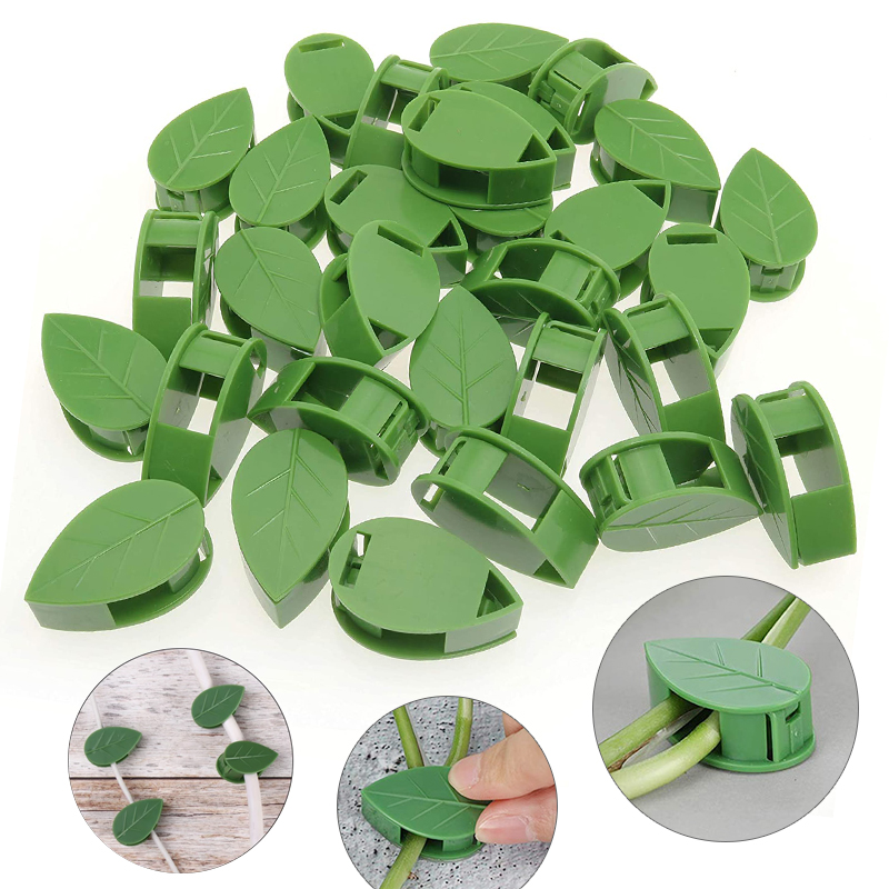 Unsichtbare Pflanzen-Kletterwa – Wall Anchor Plastic Bewertung und Preis